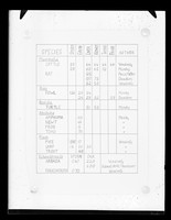 view Table referenced as "Biochem[ical] [data] of DNA"