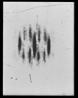 view Optical transform referenced as "l 1 Single chain helix 10 residues in 3 tetra 3.14 A per residue"