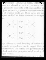 view Copy of a printed diagram referenced as "Inter-molecular links [in] DNA"