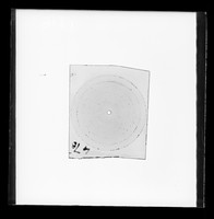 view X-ray powder diffraction exposure of a disintegrated sodium (Na) salt DNA fibre referenced as "Powder diagram from disintegrated Na DNA fibre"