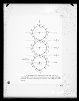 view Schematic diagram captioned as "Schematic projection, on the A-C Plane, of the configuration of phosphorus atoms found in structure A [DNA], in one helical unit" Originally referenced as "projection of phosphorus atoms on A-C plane SDN-A"