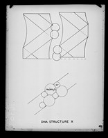 view Diagram referenced as "Hydrated sodium in structure 'A' [DNA] 4H2O "