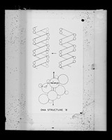 view Diagram referenced as "Hydrated sodiums in structure 'B' [DNA] 6H2O"