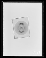 view X-ray diffraction exposure of DNA from a calf thymus referenced as "Calf Thymus DNA. Microcamera photograph. Film No 231"