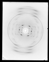 view X-ray diffraction exposure of A-type DNA referenced as "High resolution structure 'A' Film 'B'"