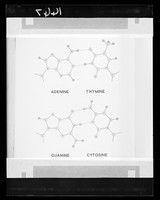 view Molecular diagram referenced as "Pairing of bases in DNA"