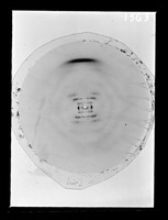 view X-ray diffraction exposure of DNA referenced as "Simmon's calf thymus DNA at 92% R.H. [relative humidity] Film No 343"