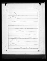 view Histogram referenced as "Observed and calculated transform DNA 'B'"