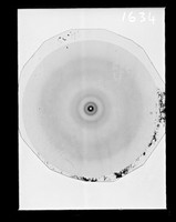 view X-ray diffraction exposure of DNA referenced as "E coli DNA 96% R.H. [relative humidity] Film 430"