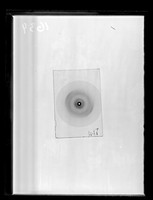 view X-ray diffraction exposure referenced as "Rat spleen nucleohistone"