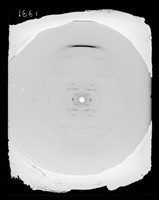 view X-ray diffraction exposure of lithium (Li) salt DNA referenced as "Li DNA at 66% R.H. (relative humidity] L-84"