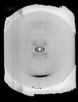 view X-ray diffraction exposure of lithium (Li) salt DNA referenced as "Li DNA at 75% R.H. [relative humidity] L-83"