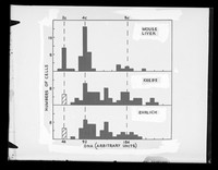 view Graph comparing the DNA levels through the Feulgen technique in samples labelled "Mouse liver, Krebs and Ehrlich" referenced as "DNA Feulgen. Mouse liver, Krebs Ehrlicks"