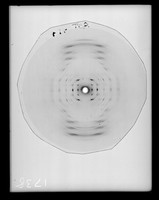 view X-ray diffraction exposure of potassium (K) salt A-type DNA referenced as "Best K-DNA A-picture Film 474"