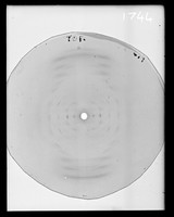 view X-ray diffraction exposure of rubidium (Rb) salt A-type DNA referenced as "Rb-DNA large camera (A type) Film 479"