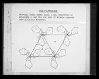 view Drawing of a proposed molecular model referenced as "Poly-l-Proline. Proposed model viewed along the axes"