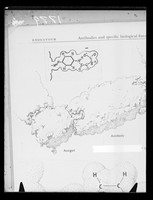 view Copy of a printed diagram referenced as "Antibody mechanism of interaction from Endeavour-Pauling"