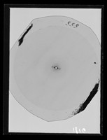 view X-ray diffraction exposure of nucleohistone referenced as "Nucleohistone showing 60A."