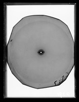 view X-ray diffraction exposure referenced as "60A° [degrees] spacing (dry) (Composite slide)"