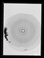 view X-ray diffraction exposure of herring sperm referenced as "Herring sperm 98% R.H. [relative humidity]"