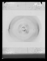 view Composite x-ray diffraction exposure of nucleoprotamines referenced as "Composite nucleoprotamine type picture"