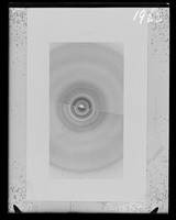 view Composite x-ray diffraction exposure of loligo and trout sperm sample referenced as "Loligo/trout 98% RH [relative humidity]"