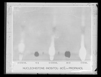 view Chromatogram referenced as "Nucleohistone-Inositol-80% N-Propanol"