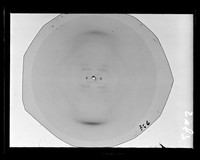 view X-ray diffraction exposure of sodium (Na) salt DNA referenced as "NA DNA at 75% R.H. [relative humidity] Film 366"