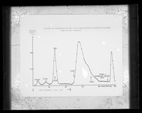 view Graph referenced as "Elution of pneumococcus DNA and RNA from column of histone cellulose using on NaCl gradient"