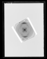 view X-ray diffraction exposure of lithium (Li) salt DNA referenced as "Li DNA (9r/t) Film 701"