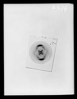 view X-ray diffraction exposure of lithium (Li) salt C-type DNA referenced as "Film 751 Li-C picture"