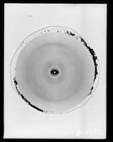 view X-ray diffraction exposure of nucleohistone referenced as "Film 746 N.Hist. at 98% R.H. [relative humidity]"