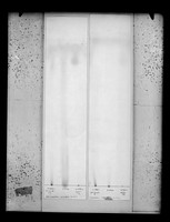 view Chromatogram referenced as "Whole molecule lipid chromatogram (ninhydrin)"