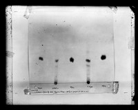 view Chromatogram referenced as "Choline from Zubay nucleohistone. Material which did not dissolve in KOH"