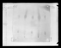 view Chromatogram referenced as "Glycerophosphate from Zubay nucleohistone. Material which did not dissolve in KOH"