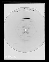 view X-ray diffraction exposure of lithium (Li) salt C-type DNA referenced as "Li DNA B 66% [relative humidity] Film 874"