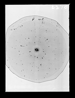 view X-ray diffraction exposure of nucleohistone referenced as "Wet fibre nucleohistone"