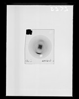 view X-ray diffraction exposure of lithium (Li) DNA referenced as "L60 tilted Li DNA Micro"