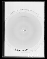 view X-ray diffraction exposure of "Loligo in spermatophore"