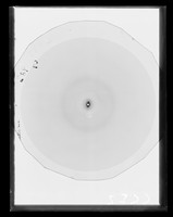 view X-ray diffraction exposure referenced as "Erythrocyte nuclei (fibres Sa ring)"