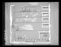 view Graph referenced as "Dry mass in mitosis- m.h.t.c"