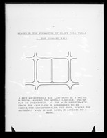 view Diagram referenced as "DNA stages in the formation of plant cell walls. The primary wall"