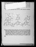 view Copy of a printed diagram referenced as "Part of a chain of DNA"