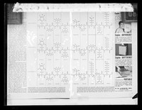 view Copy of a printed molecular diagram referenced as "Structure of amino acids"