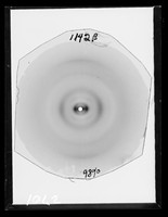 view X-ray diffraction exposure referenced as "8:2 Alanine: Lysine + DNA 98 R.H. [relative humidity]"