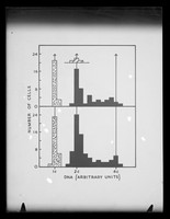 view Table referenced as "Mouse. Feulgen DNA in sperm and embryo lung and liver"