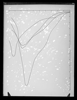 view Graph referenced as "Feulgen. Absorption curves"