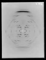 view X-ray diffraction exposure of lithium (Li) salt B-type DNA referenced as "F1130 Li B"