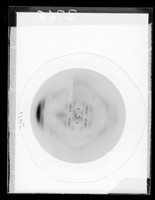 view X-ray diffraction exposure of lithium (Li) salt C-type DNA referenced as "F1145 Li C (hex)"