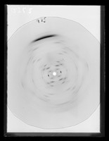 view X-ray diffraction exposure of lithium (Li) salt B-type DNA referenced as "F975 Li B"